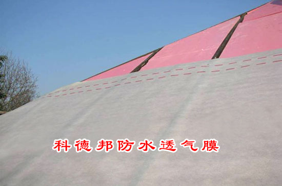 防水透氣膜圖片/防水透氣膜樣板圖 (3)