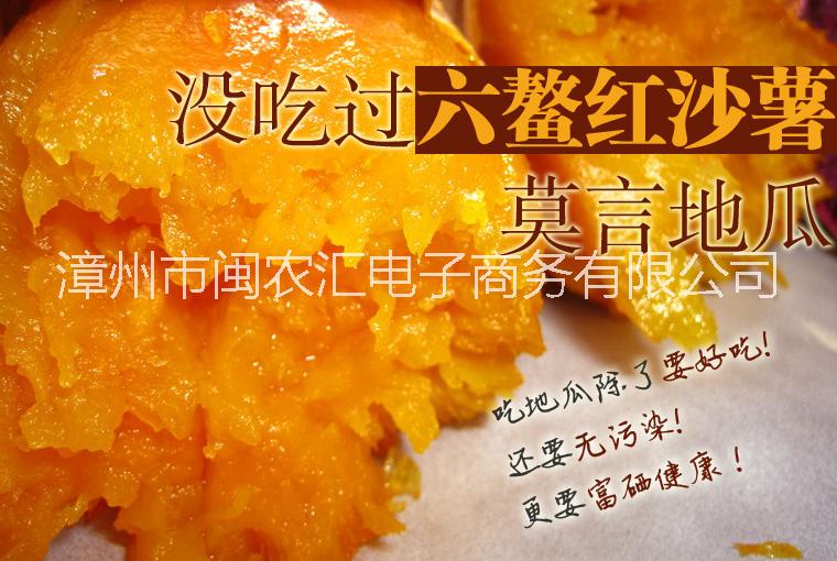 六鰲紅蜜薯紅心地瓜赤沙地 福建六鰲紅蜜薯紅心地瓜赤沙地瓜 福建六鰲紅蜜薯紅心地瓜新鮮紅薯農(nóng)