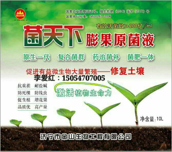 菌天下膨果原菌液圖片