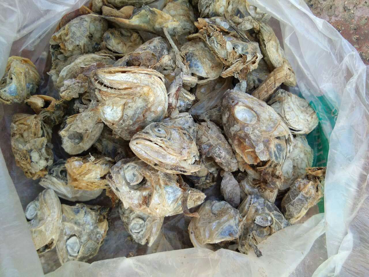 海興昌海飼料】常年出售 飼料級(jí)圖片