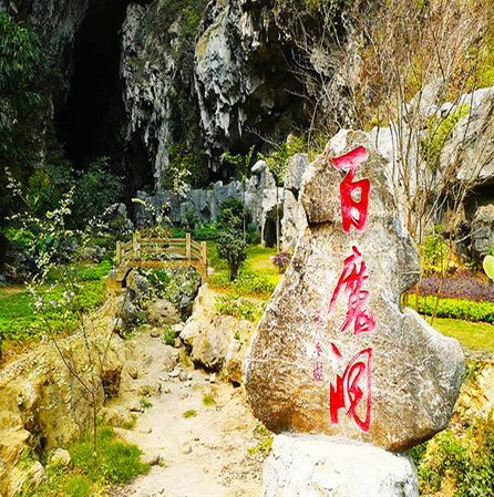 阳朔旅游长短途包车桂林旅游租车|桂林租车代驾 桂林旅游长短途包车 阳朔旅游长短途包车