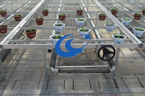 苗床廠家-移動苗床-自動苗床圖片