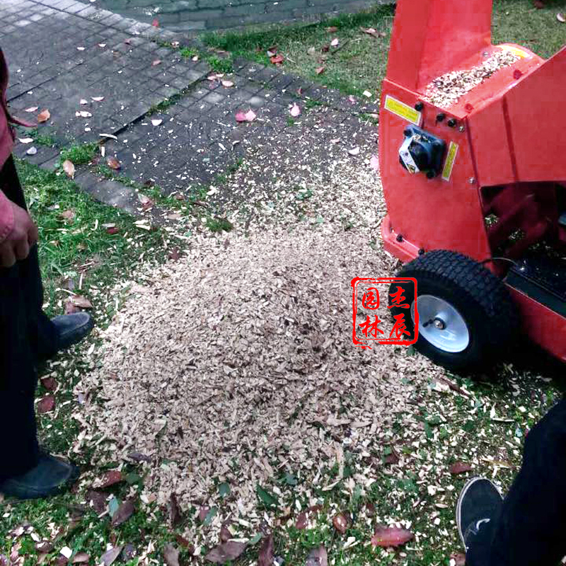 樹枝圖片/樹枝樣板圖 (2)