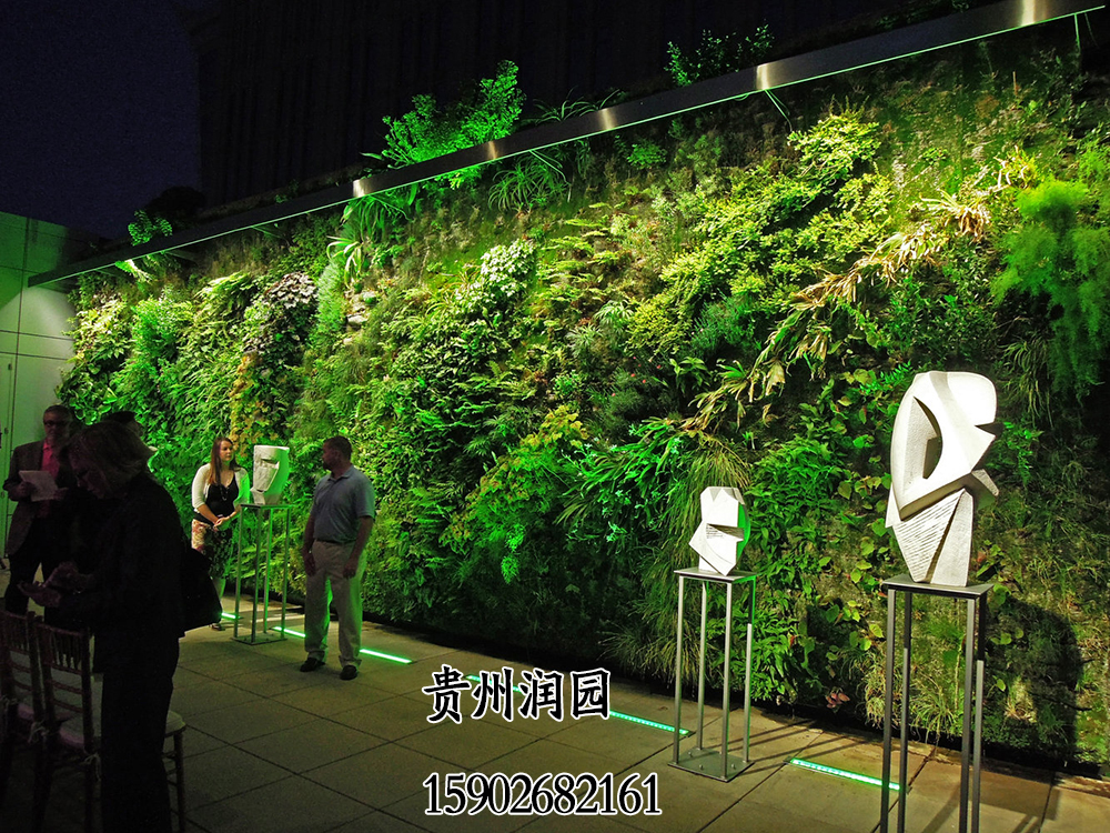 貴陽(yáng)植物墻培訓(xùn)包括生態(tài)綠化圖片