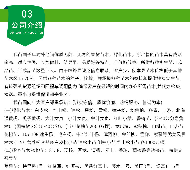 白皮松價圖片/白皮松價樣板圖 (4)