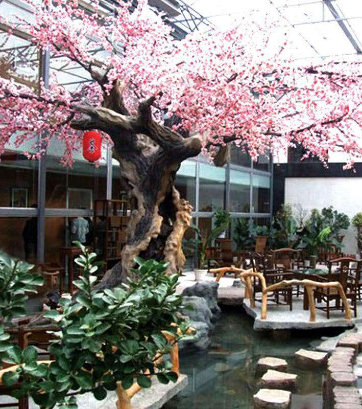 櫻花樹圖片/櫻花樹樣板圖 (2)