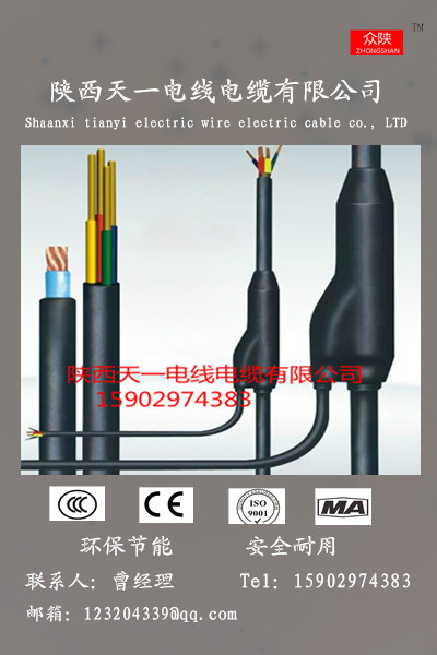 預(yù)分支電纜圖片/預(yù)分支電纜樣板圖 (1)