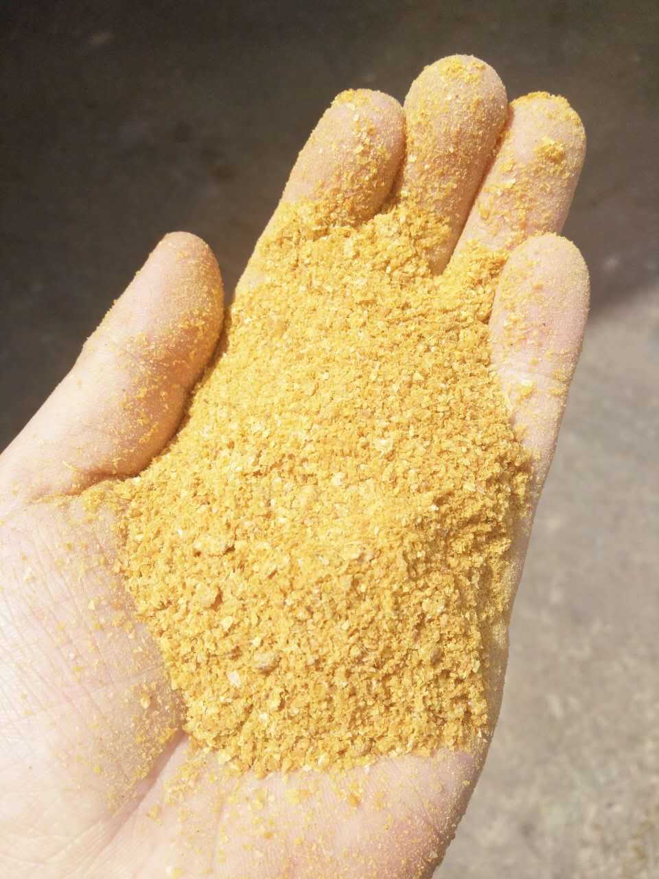 玉米DDGS圖片/玉米DDGS樣板圖 (4)