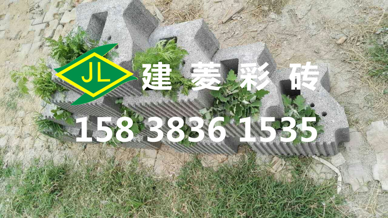 景觀擋土墻砌塊，工程擋土墻砌塊 干壘式擋土墻磚 植生式擋土塊 哪有生產(chǎn)植草植生擋土墻生產(chǎn)廠家