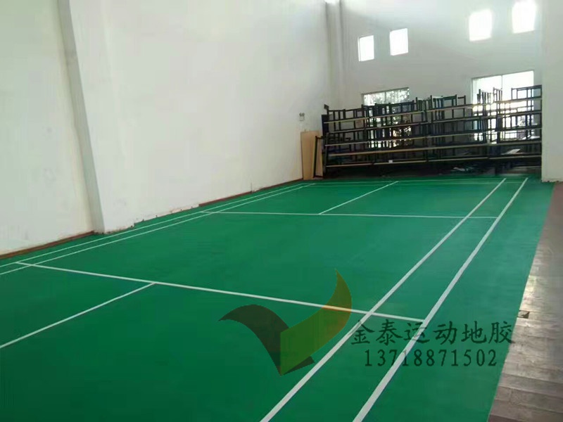 羽毛球圖片/羽毛球樣板圖 (1)
