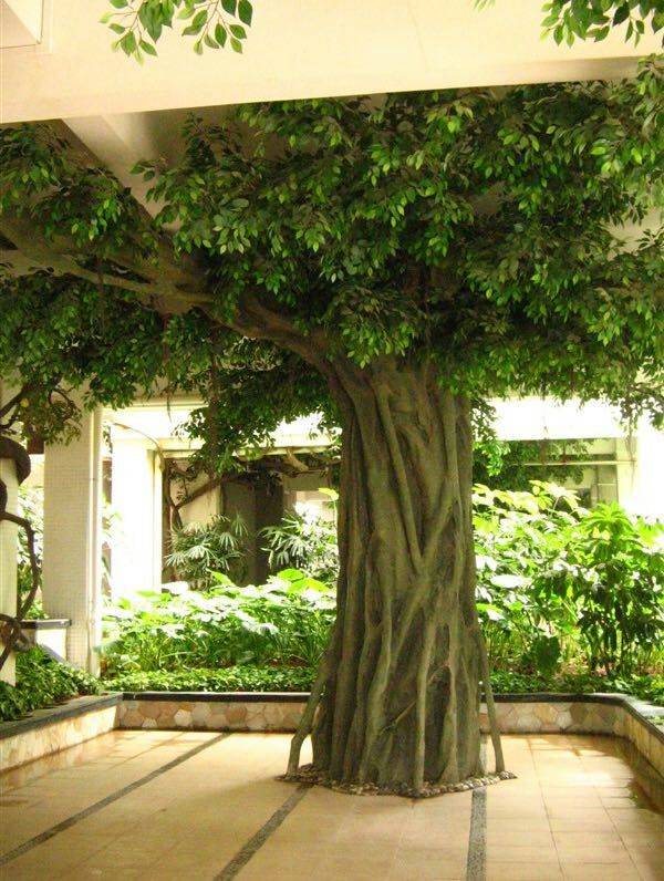 仿真榕樹圖片/仿真榕樹樣板圖 (3)