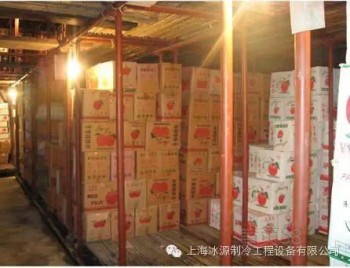 天津市蘋果保鮮庫廠家建設(shè)
