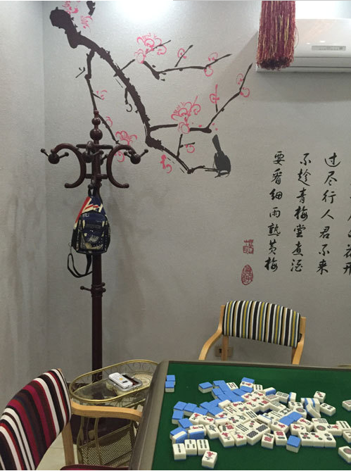 硅藻泥生產(chǎn)廠家 水性硅藻泥 硅藻泥 硅藻泥藝術(shù)墻面 電視背景