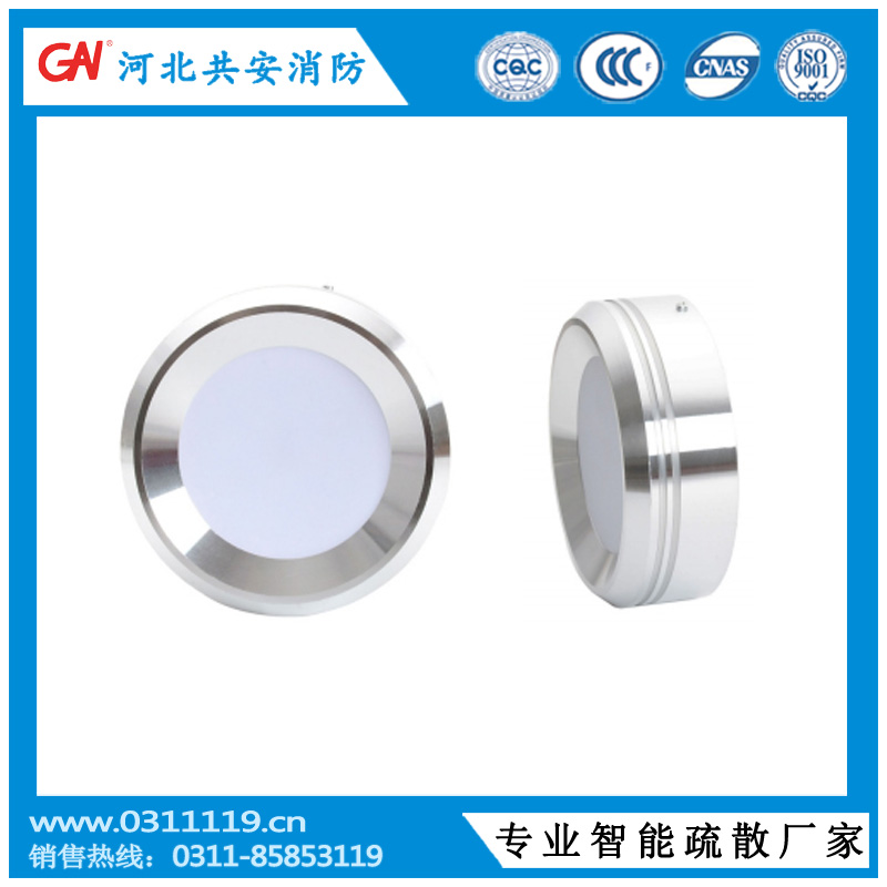 消防應(yīng)急標志燈具圖片