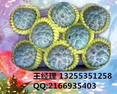 *玫瑰花網(wǎng)套機，芒果蔬菜網(wǎng)套機，蘋果網(wǎng)袋機械