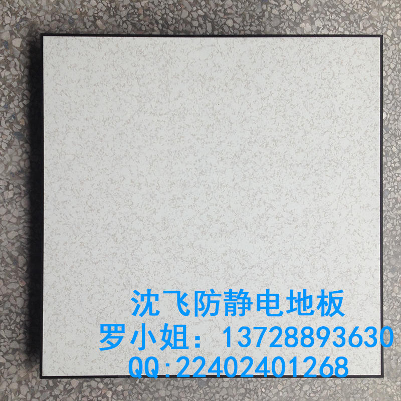 防靜電地板圖片/防靜電地板樣板圖 (2)