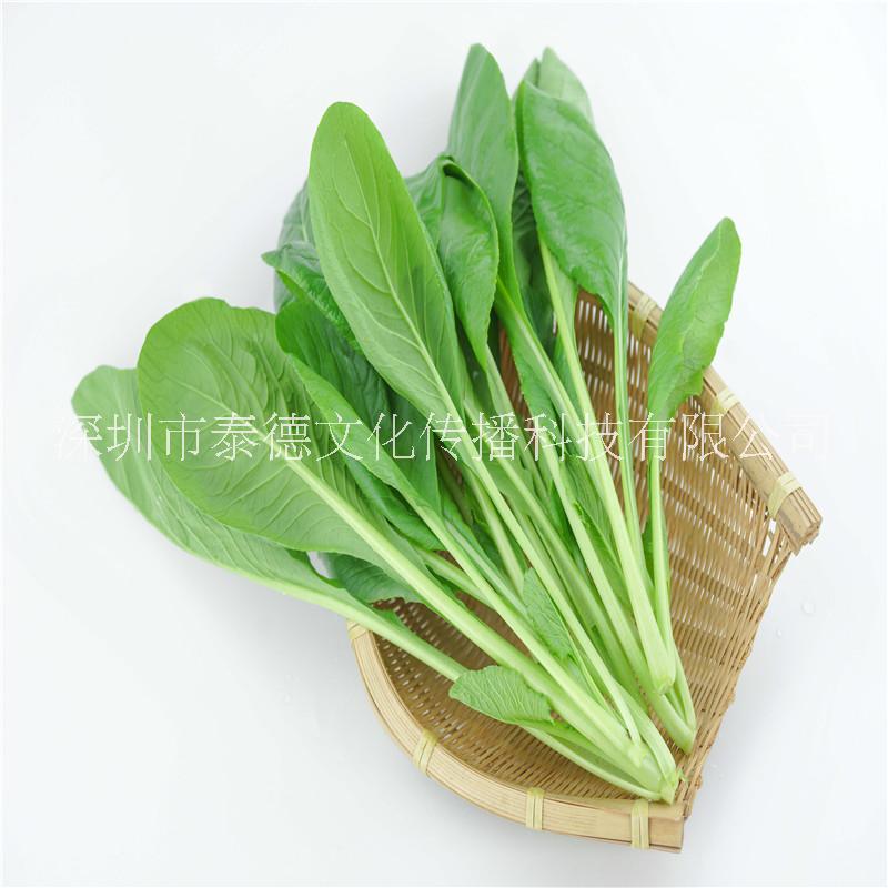 泰德寶島菜園 小松菜 約250g