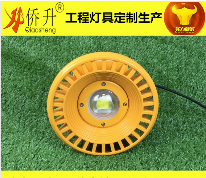 防爆燈圖片/防爆燈樣板圖 (3)