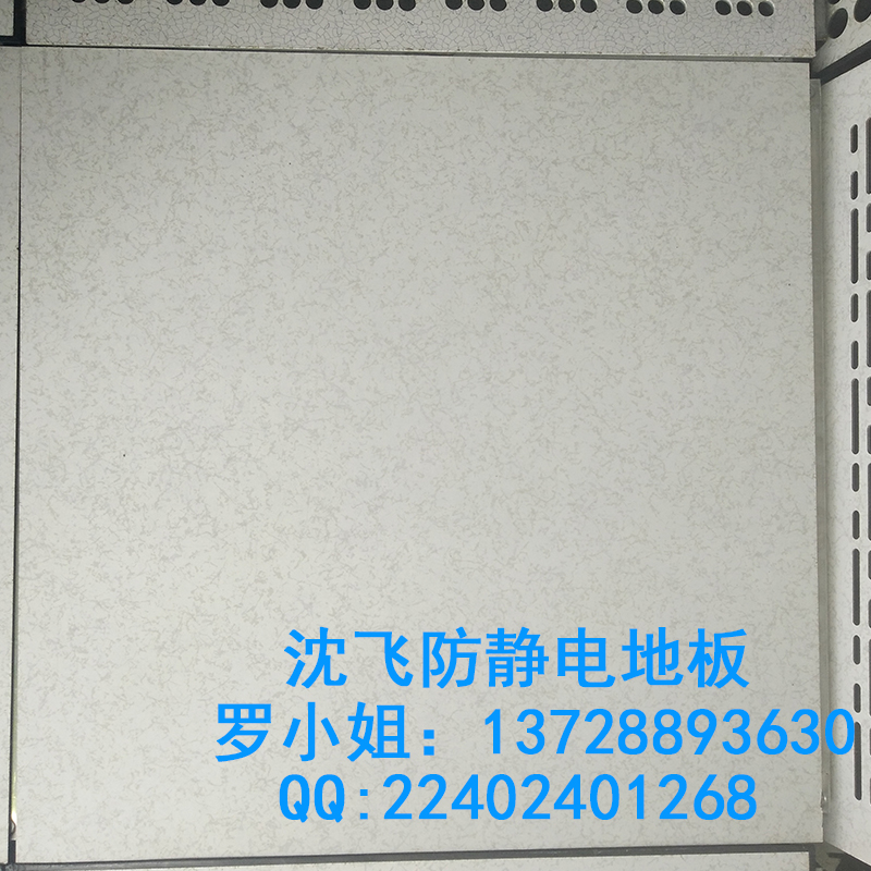 防靜電地板圖片/防靜電地板樣板圖 (3)