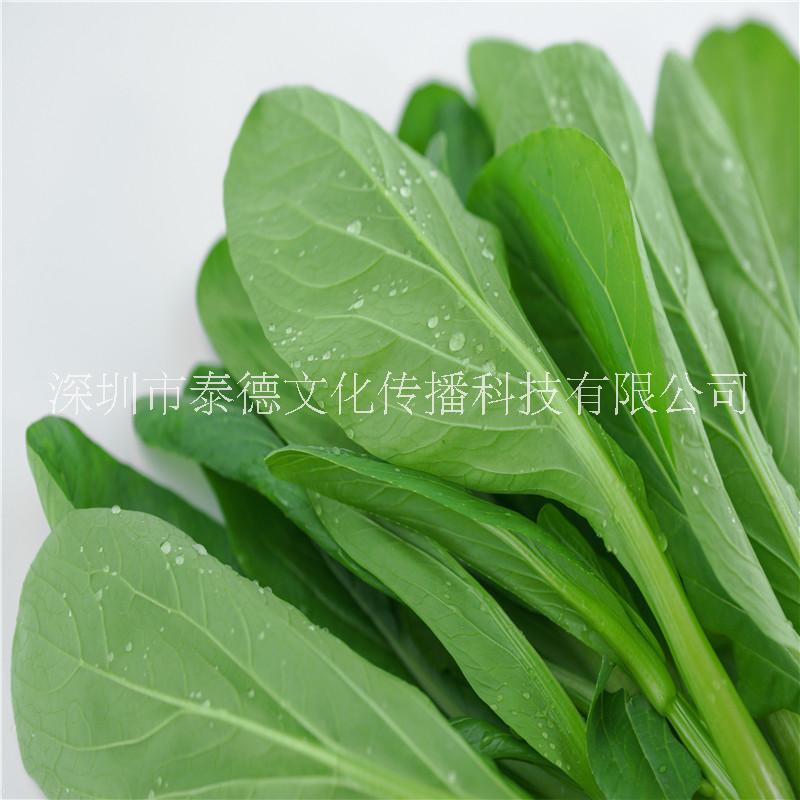 菜心圖片/菜心樣板圖 (4)