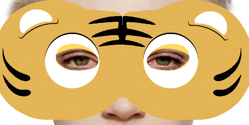 上海蒸汽眼罩加工圖片/上海蒸汽眼罩加工樣板圖 (3)