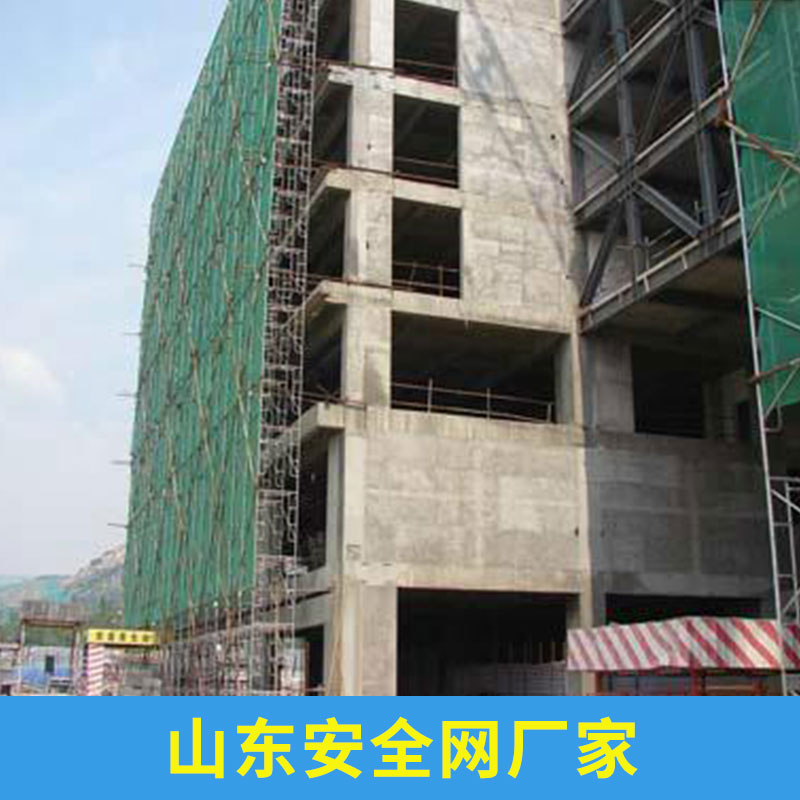 聚乙烯阻燃防护 绿色防坠密目建筑工地 山东安全网厂家批发