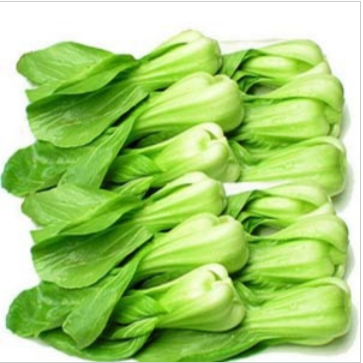 新鮮蔬菜新鮮小油菜寧夏芥藍(lán)菜心港圖片