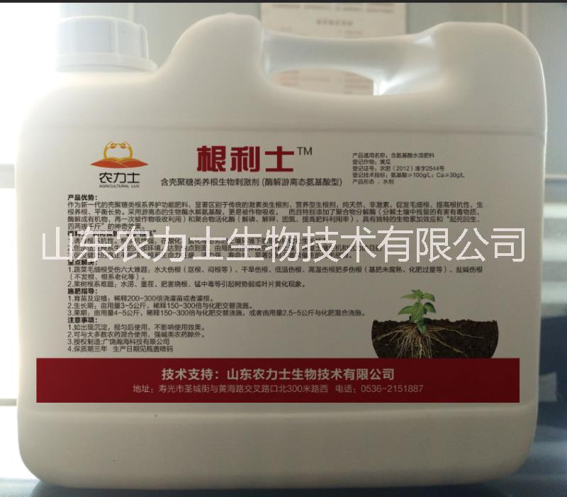 甲殼素殼聚糖圖片/甲殼素殼聚糖樣板圖 (3)
