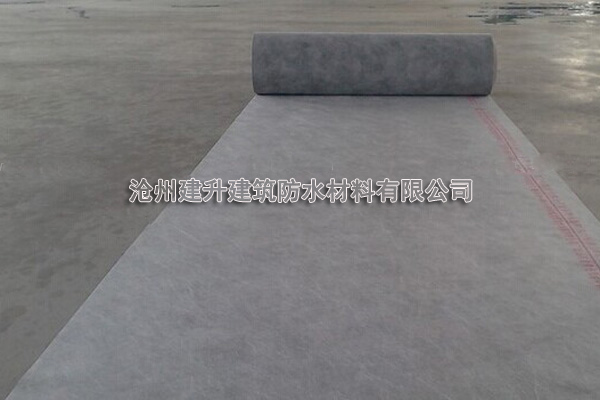 滄州建達(dá)聚乙烯（滌）丙綸防水卷材圖片/滄州建達(dá)聚乙烯（滌）丙綸防水卷材樣板圖 (3)