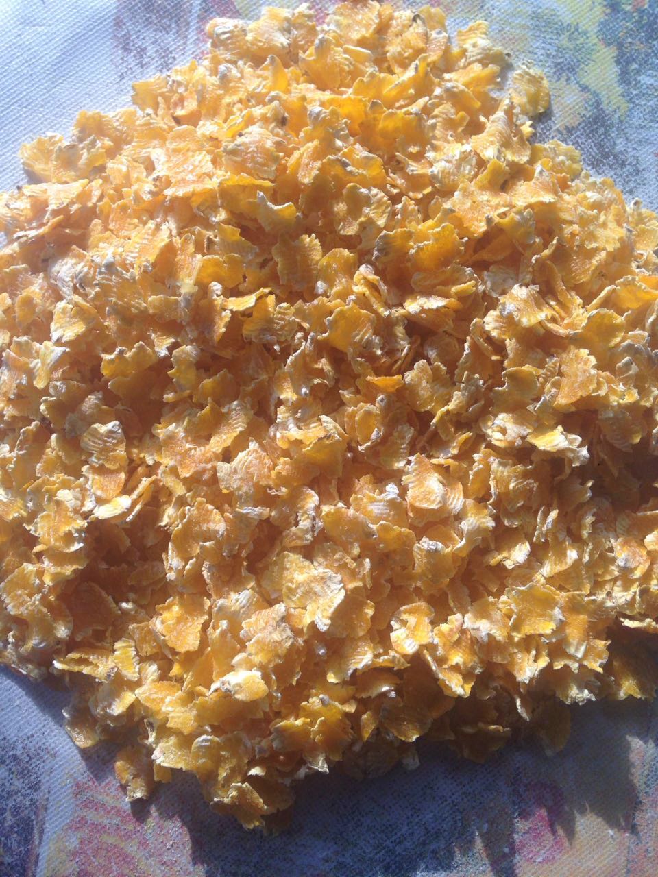 大閘蟹養(yǎng)殖飼料玉米 蒸汽壓片玉米圖片/大閘蟹養(yǎng)殖飼料玉米 蒸汽壓片玉米樣板圖 (2)