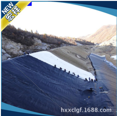 糙面土工膜圖片