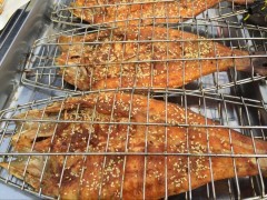 姜太公吊爐烤魚怎么樣，需要多少錢圖片