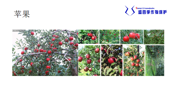 果然靚圖片/果然靚樣板圖 (2)