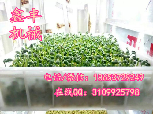 商用豆芽機(jī)圖片/商用豆芽機(jī)樣板圖 (3)