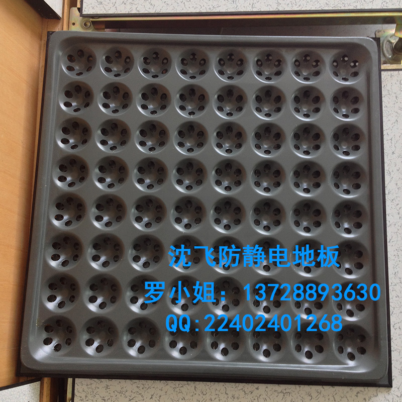 全鋼防靜電通風(fēng)地板圖片/全鋼防靜電通風(fēng)地板樣板圖 (3)