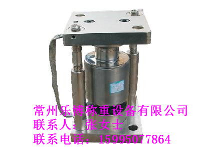 稱重傳感器圖片/稱重傳感器樣板圖 (2)