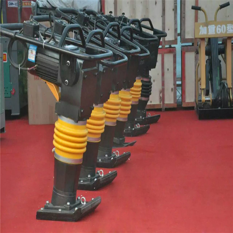 廠家生產(chǎn)銷售BTR夯實機圖片