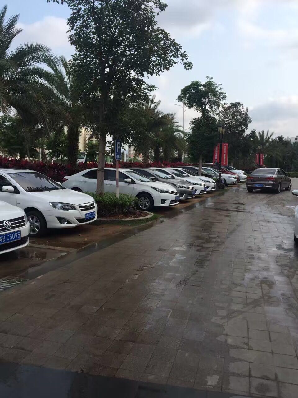 軒逸汽車圖片/軒逸汽車樣板圖 (2)