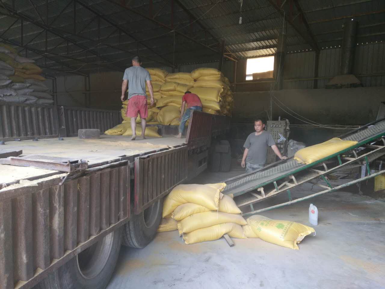 DDGS圖片/DDGS樣板圖 (4)