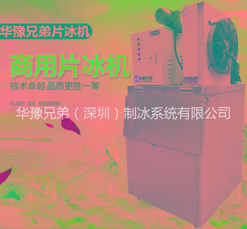 自助餐片冰機(jī) 200公斤片冰機(jī)圖片/自助餐片冰機(jī) 200公斤片冰機(jī)樣板圖 (4)