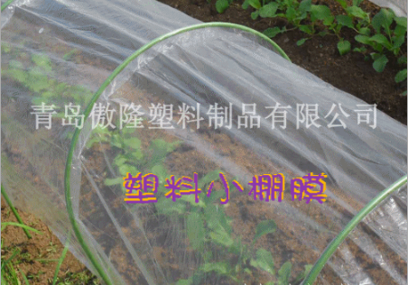 LLDPE塑料打孔小棚膜，/塑料棚膜/塑料薄膜 青島打孔小棚膜 青島小棚膜 打孔小棚膜批發(fā) 打孔小棚膜廠家
