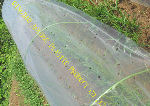 生產(chǎn)供應LLDPE塑料打孔小棚膜，/塑料棚膜/塑料薄膜