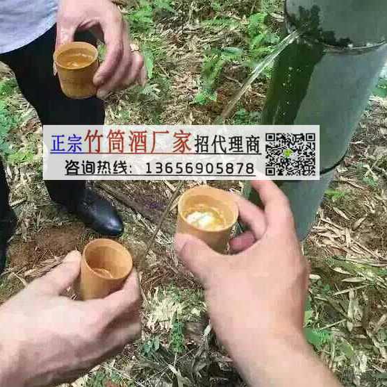 江蘇竹筒酒圖片/江蘇竹筒酒樣板圖 (1)