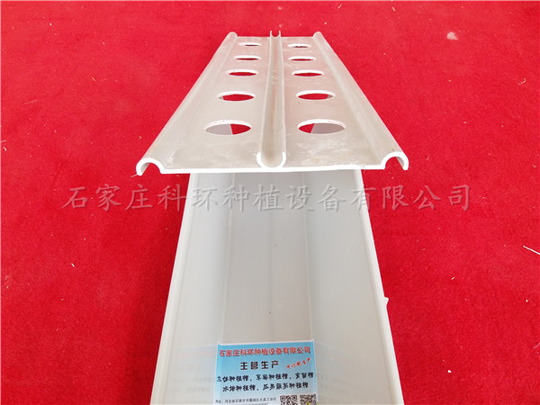 草莓種植槽圖片/草莓種植槽樣板圖 (4)