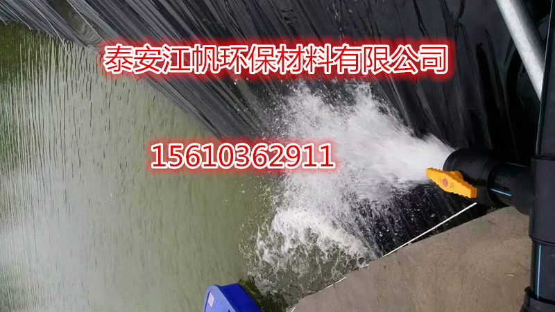 魚(yú)塘養(yǎng)殖土工膜圖片/魚(yú)塘養(yǎng)殖土工膜樣板圖 (3)