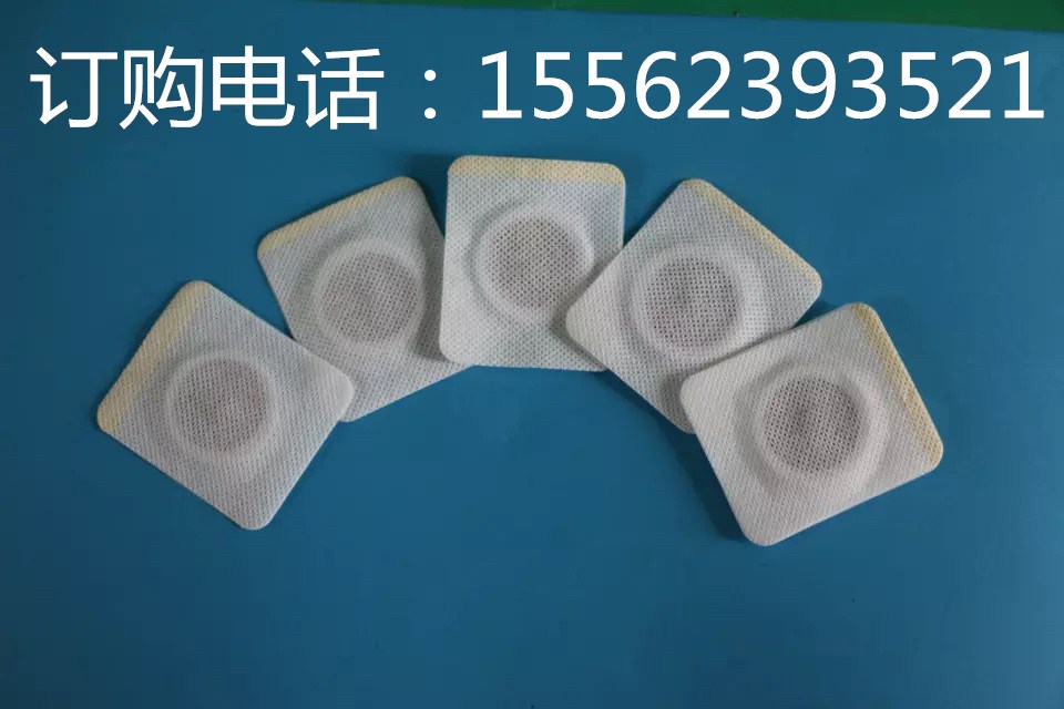 沙蒿子圖片/沙蒿子樣板圖 (2)