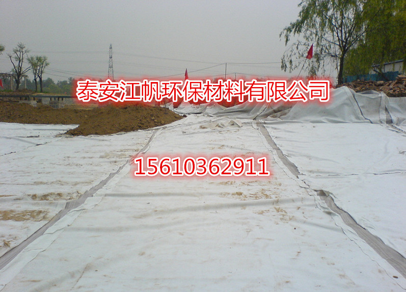 廣東復(fù)合膜兩布一膜生產(chǎn)廠家圖片/廣東復(fù)合膜兩布一膜生產(chǎn)廠家樣板圖 (3)