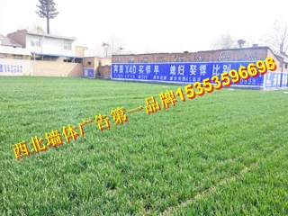 墻體廣告圖片/墻體廣告樣板圖 (3)