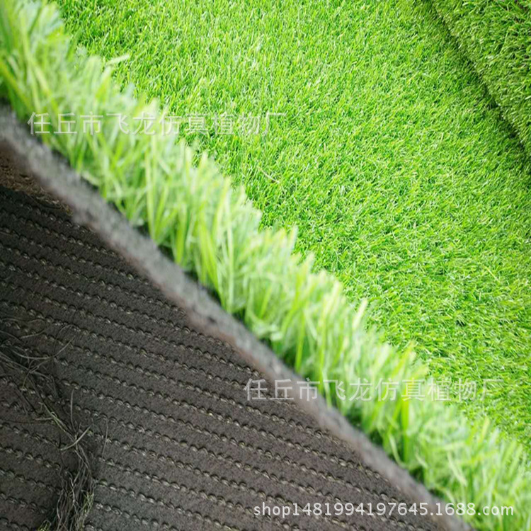 塑料草皮圖片/塑料草皮樣板圖 (2)
