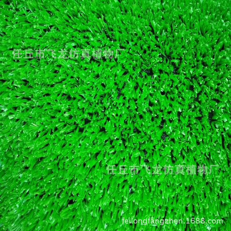 仿真草坪圖片/仿真草坪樣板圖 (3)